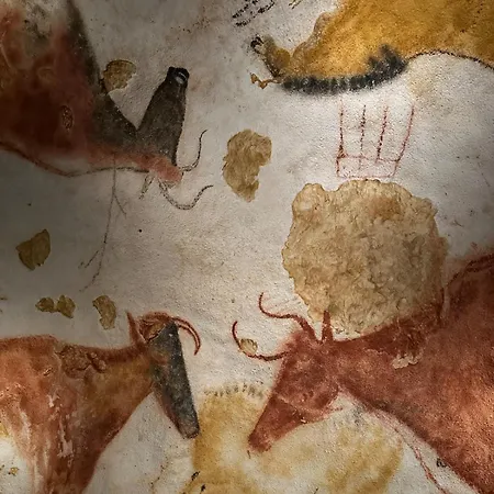 T2 Confort * Montignac-Lascaux